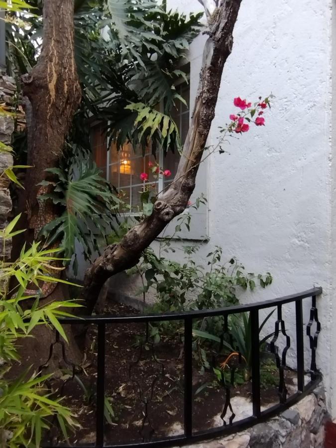 Vila Pied A Terre At Casitas Aparicio San Miguel de Allende Exteriér fotografie